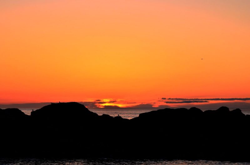 Sunrise-Nubble-Birds-on-Ledge_Deep-scaled