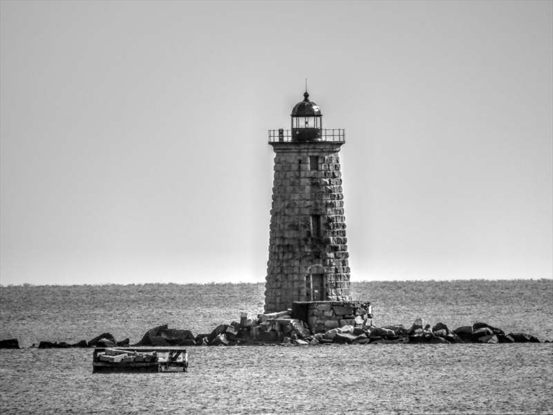 Whale-Back-Light