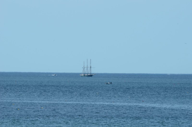 DSC_6520-scaled